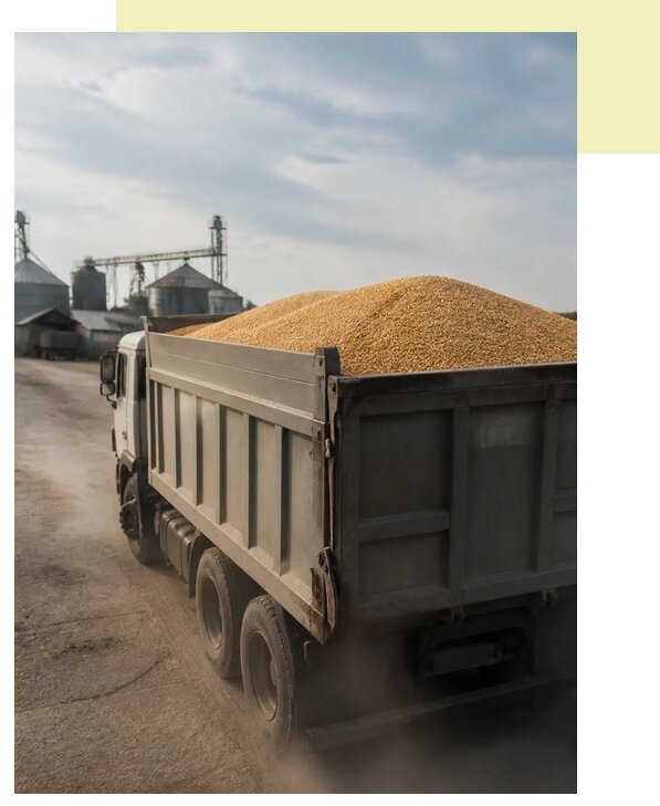 Перевозка сельхозпродукции навалом в Воронеж по цене от 3222 р. | Агросервис-Врн